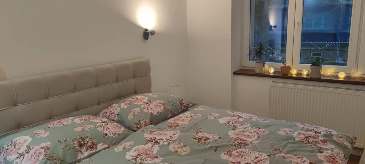 Apartmán Višňovka Pardubice Esterno foto